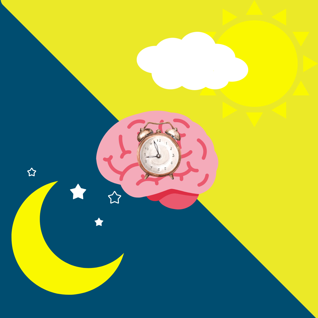 How to make menopause easier with circadian rhythm